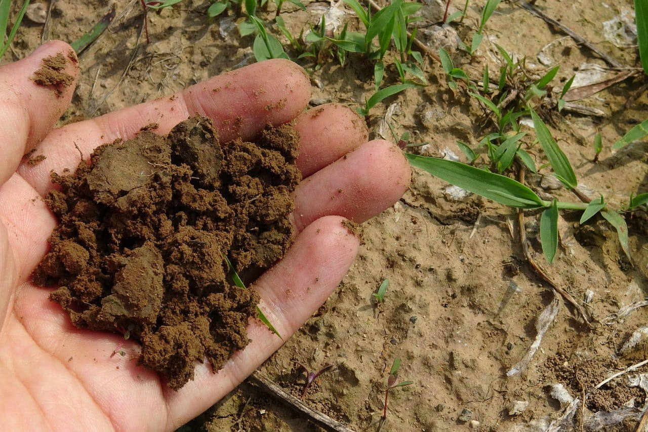 मिट्टी जांच क्यों करवानी चाहिए और क्या हैं इसके फायदे?