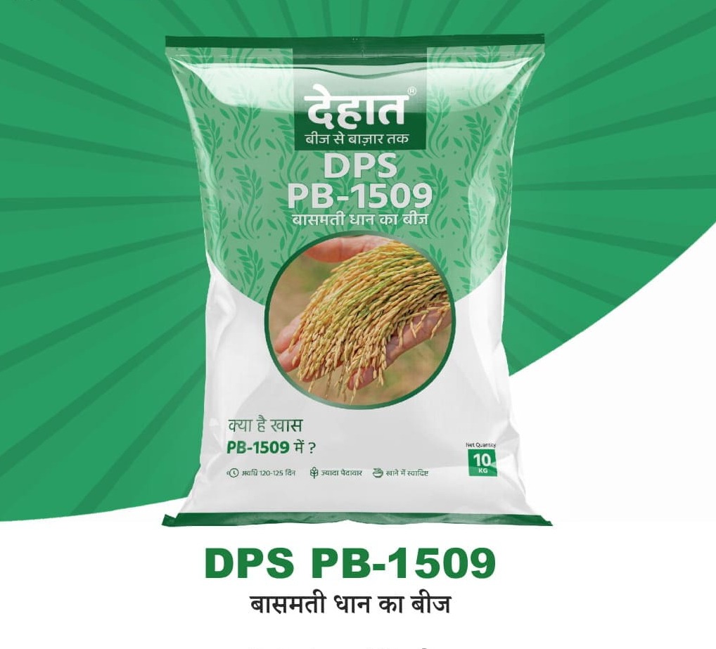 डीपीएस पीबी-1509 : बासमती धान की बेहतरीन किस्म