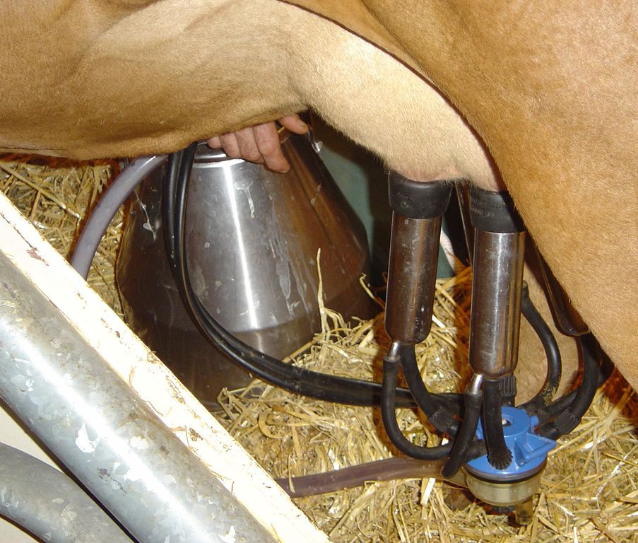 मिल्किंग मशीन : पशुओं का दूध निकालने के लिए आधुनिक यंत्र